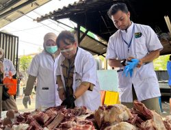 Suku Dinas KPKP Jakut Pastikan Daging Kurban Aman Konsumsi