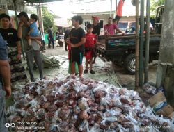 Masjid Al Hawi Pondok Rajeg Rayakan Iduladha 1447 H, Sembelih 10 Sapi dan 200 Kambing