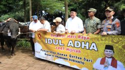 Presiden RI Prabowo Salurkan Sapi Kurban Berbobot 1,2 Ton untuk Masyarakat Kabupaten Bogor