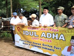 Presiden RI Prabowo Salurkan Sapi Kurban Berbobot 1,2 Ton untuk Masyarakat Kabupaten Bogor