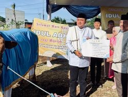 Bupati Bogor Serahkan Hewan Kurban Bantuan Presiden RI kepada DKM Masjid Raya Nurul Wathon