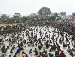 Ribuan Warga Serbu Kolam Al Kamil, 1,5 Ton Ikan Ditebar untuk Meriahkan HUT RI